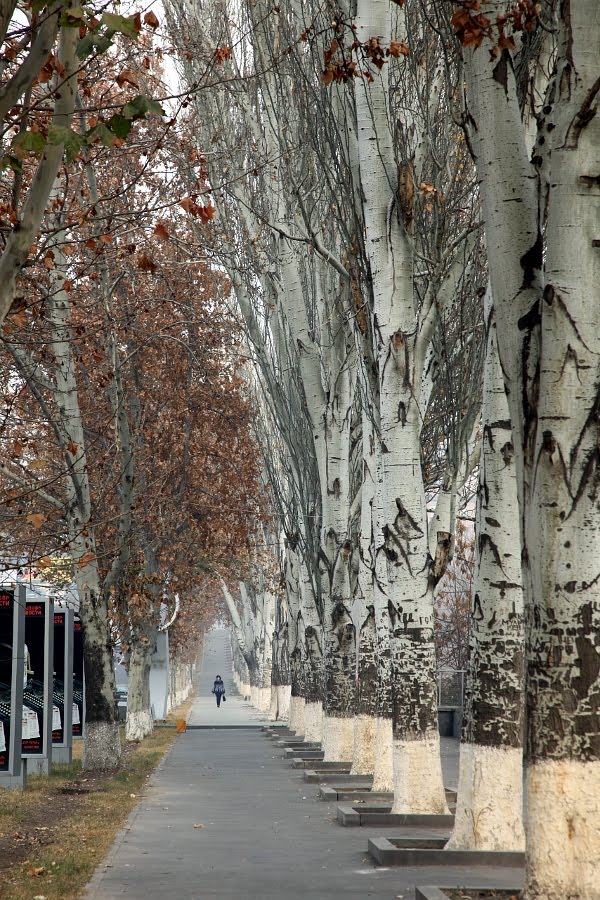 Yerevan by Len Gao