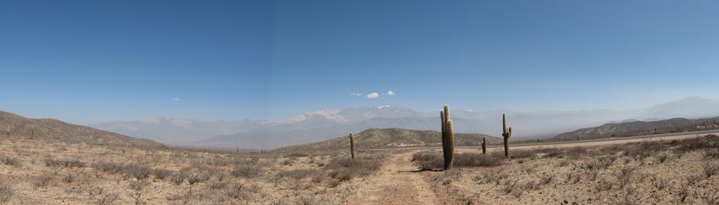 Parque Nacional los Cardones - camino a Payogasta by Hugo Z