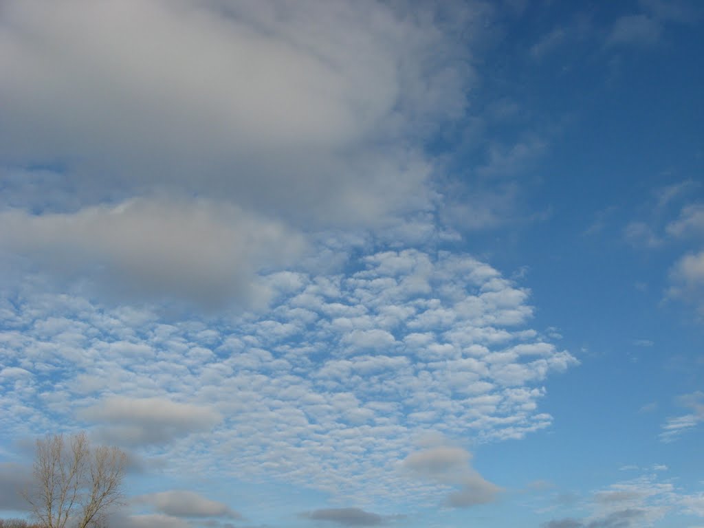 Heath, Ohio by Rick D.