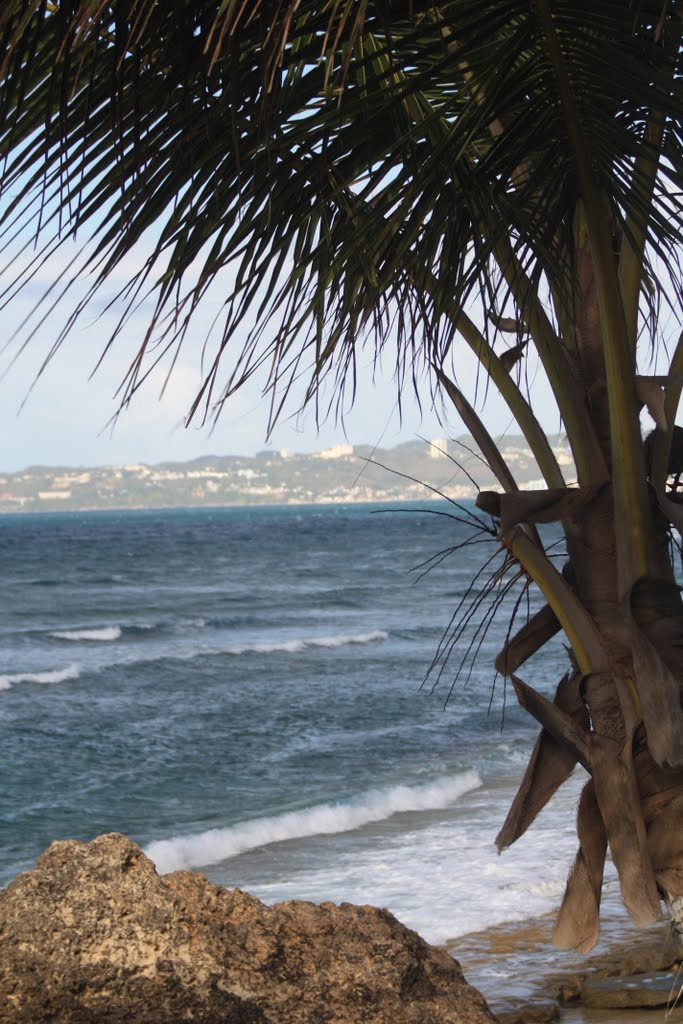 Costa de Aguada by Ricardo David Jusino