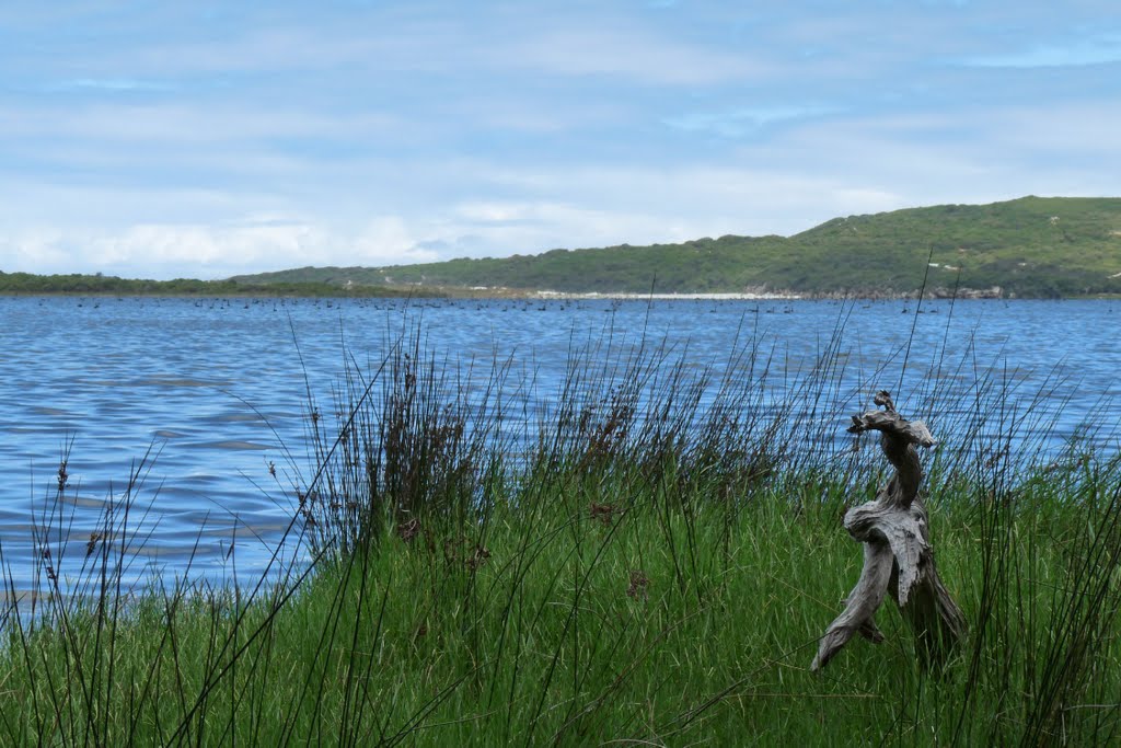 Wetlands around Wilson Inlet by sugarbag1