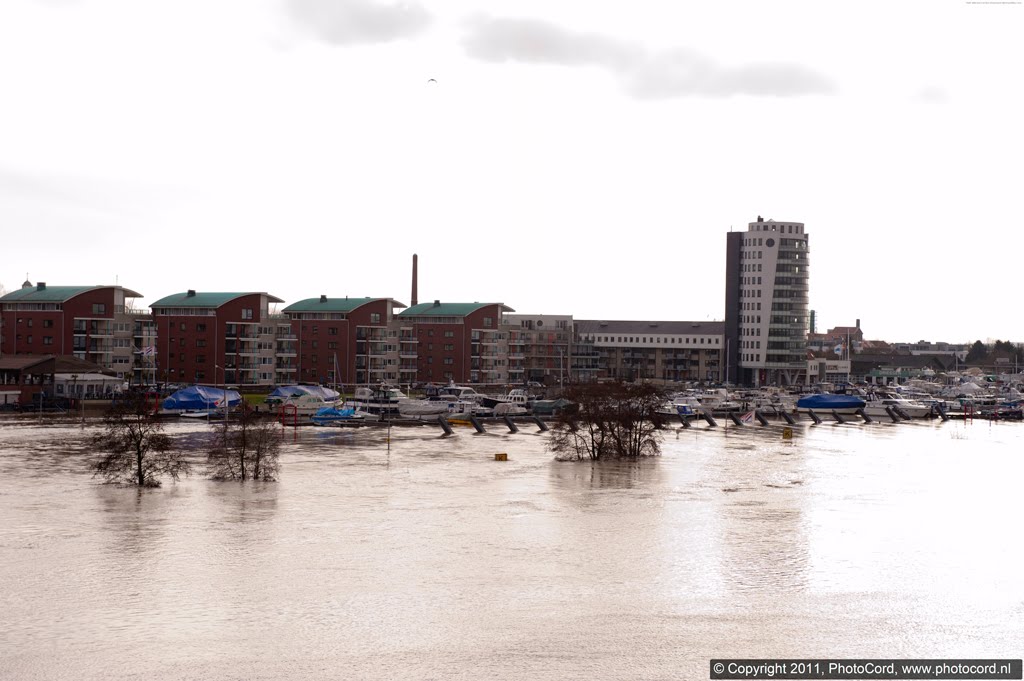 Hoogwater in de Maas bij Roermond by photocord