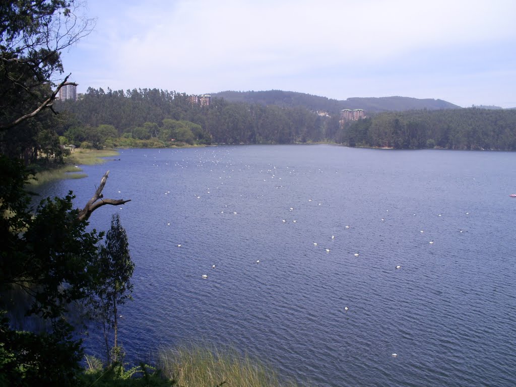 Laguna san pedro desde mirador by pabliiiito