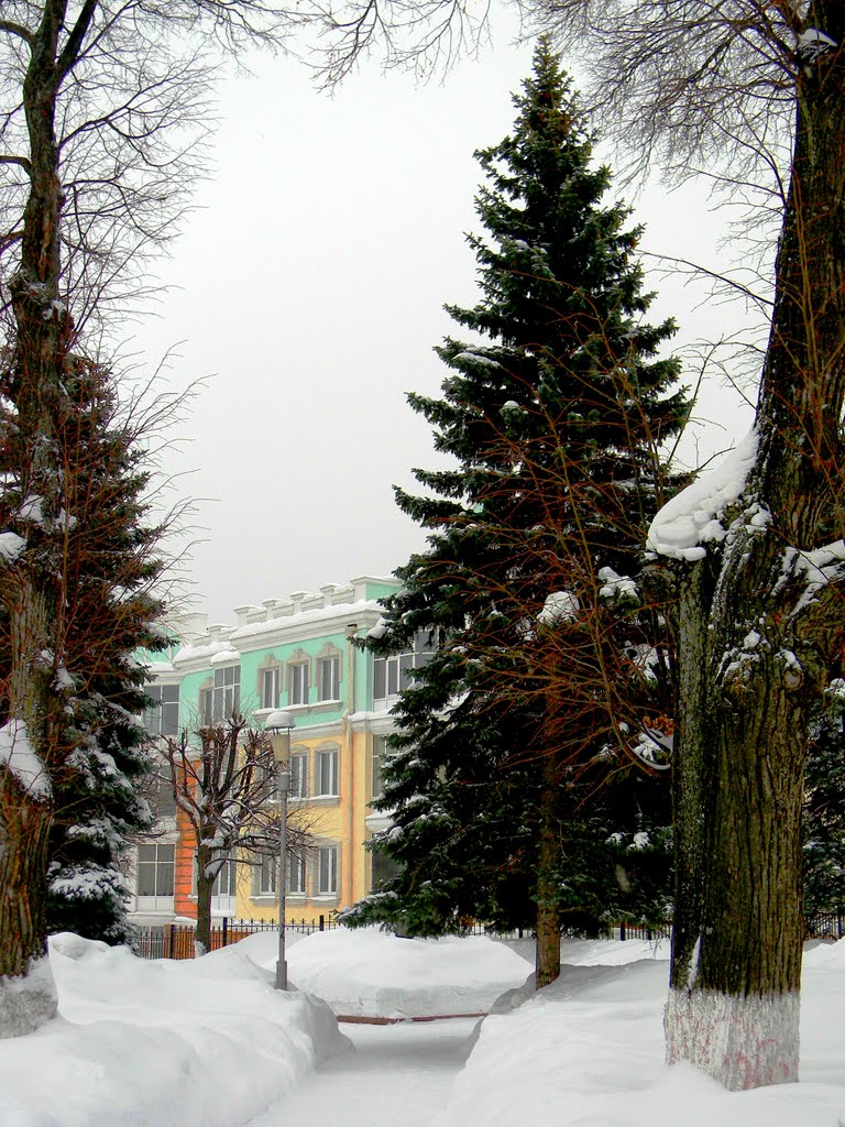 Moskovskiy rayon, Cheboksary, Chuvashia, Russia by SerA-1961