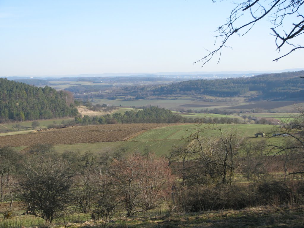 Simmozheim Geißberg 02.2011 by Rene Weise