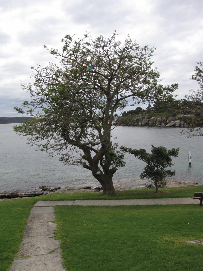 Watsons Bay by Hendrik Maat