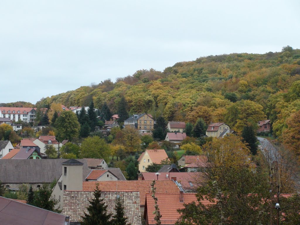 Stecklenberg im Herbst by ☼❄ bergkristall ❆☼