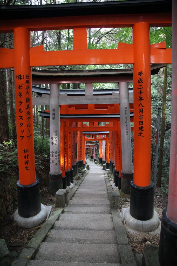 Inariyamakanyuchi, Fushimi Ward, Kyoto, Kyoto Prefecture 612-0804, Japan by f9401