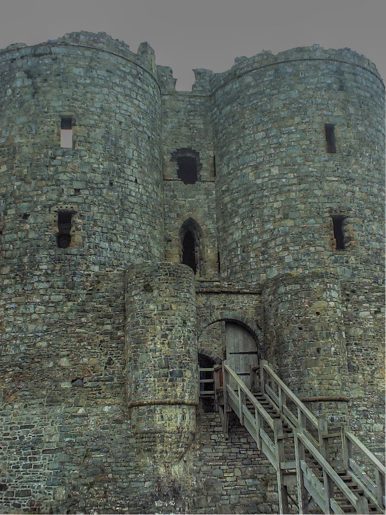 Harlech Castle by Rae Leeson