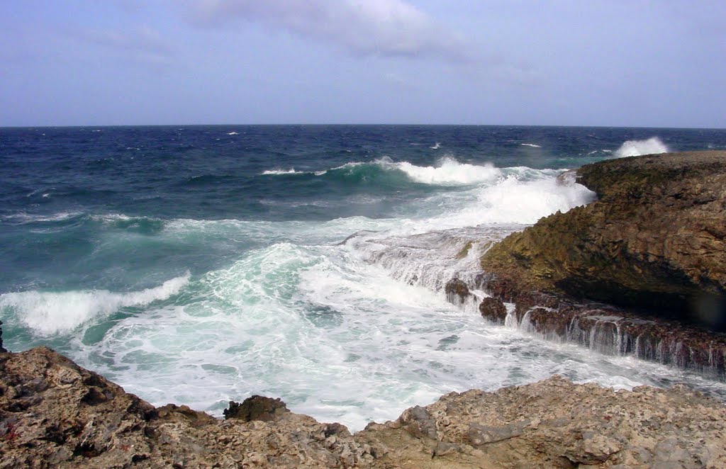 CURAÇAO, Boca Table: the savage north coast of the island by Nell van den Bosch -…