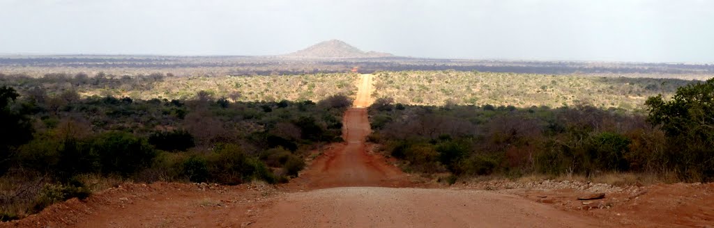 The road to Tsavo East National Park. Kilifi District by Николай Максимович