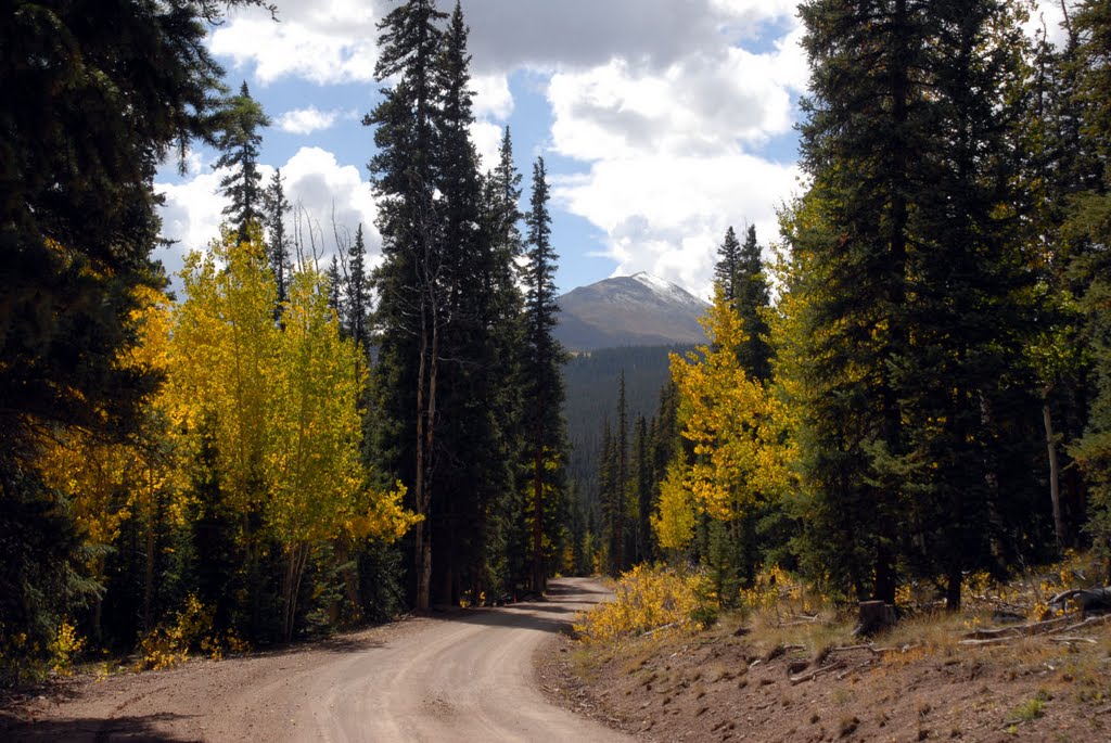 Fall Road by David Wilson