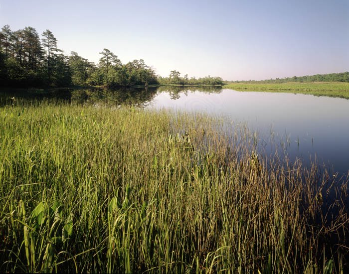 South River, Tidal Area by hoganphoto