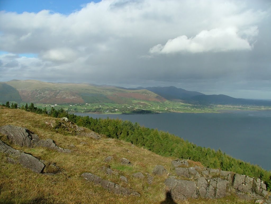 Slieve Foy, Carlingford by Viktor Krizsan