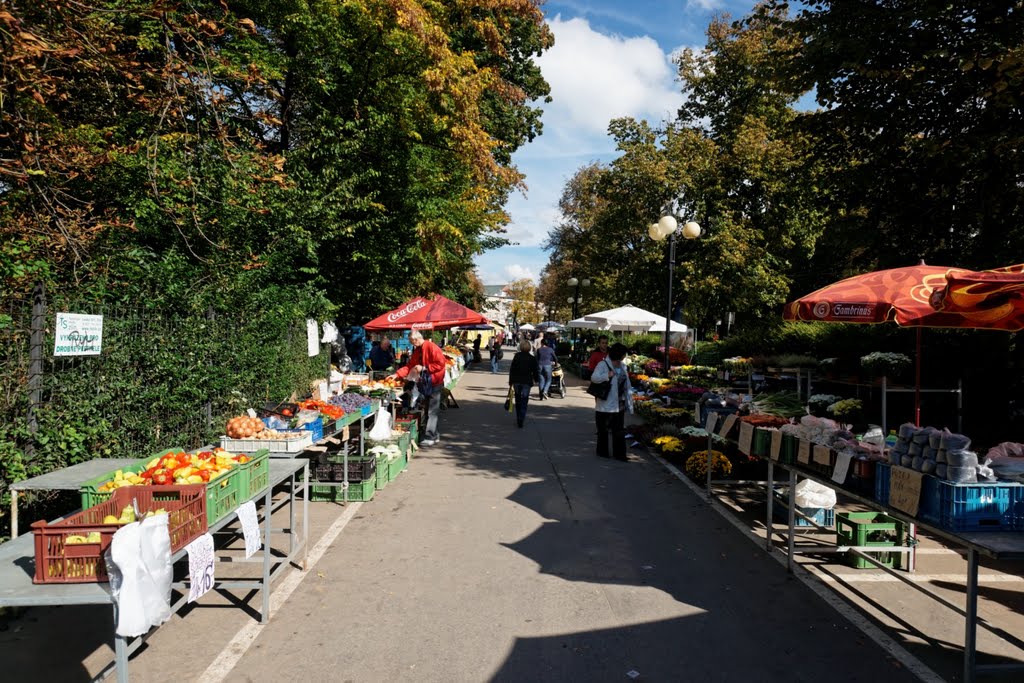 Zlín - Třída Tomáše Bati - View NE on daymarket with products from South Moravia by txllxt TxllxT