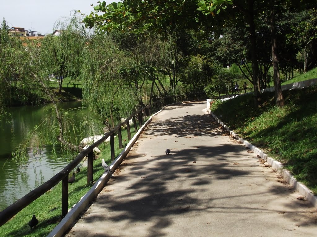 Rua do parque da FITO Osasco - SP by adilson-s-lima