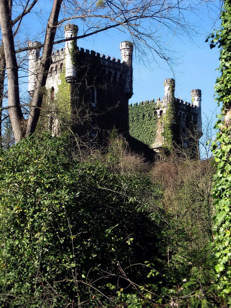 Castillo de Priorio, Las Caldas, Oviedo, Asturias by Antonio Alba