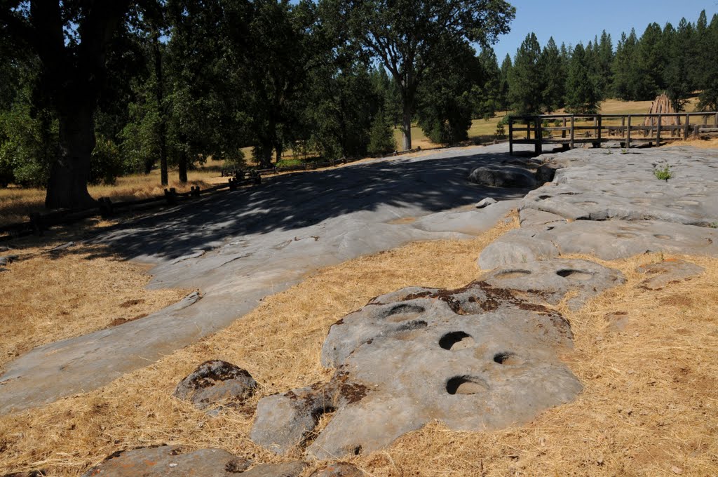 Pine Grove; Chaw'se Indian Grinding Rock State Historic Park by Phil Nieto