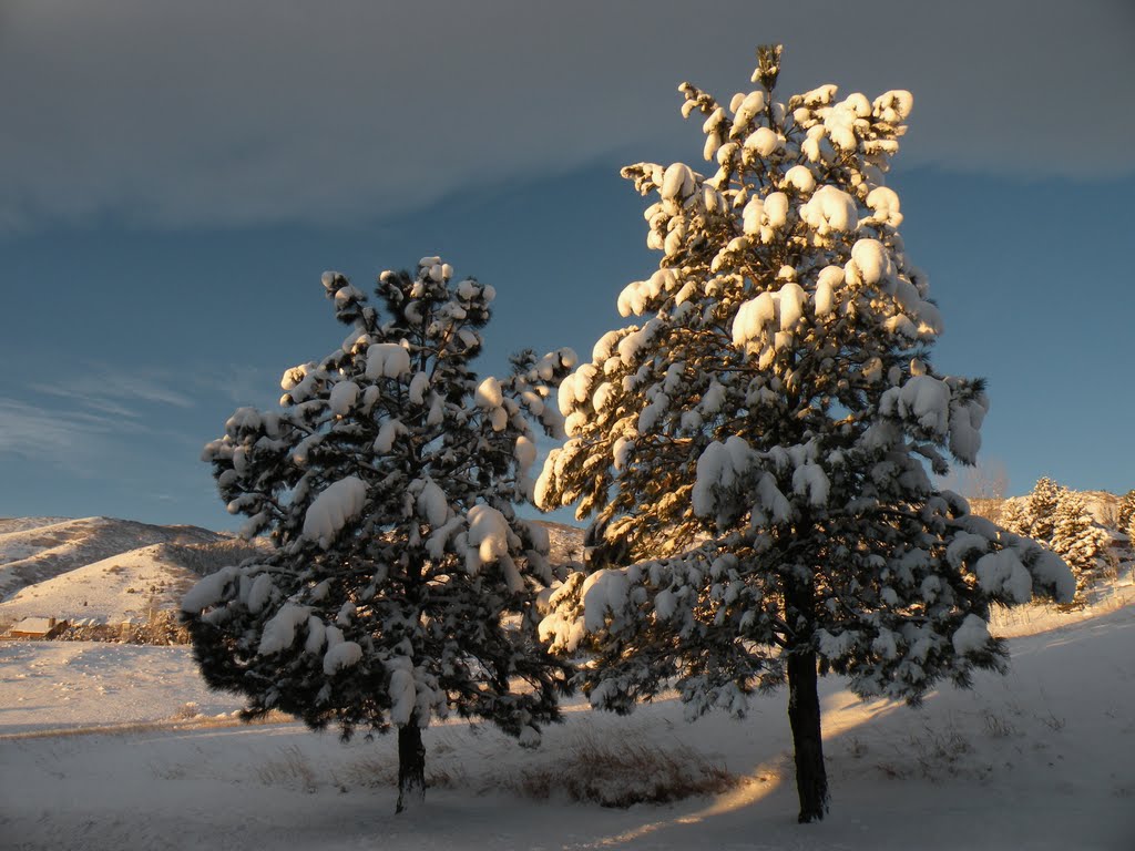 Ken Caryl Valley in Snow at Sunrise by ryandenver