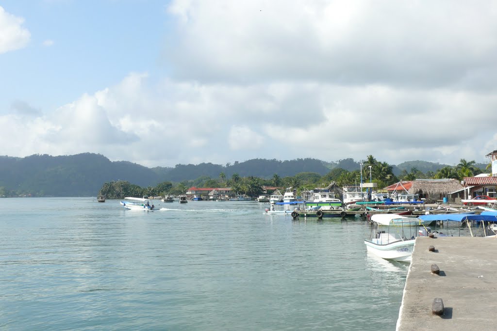 Muelle de Livingston by Edynilson D'Leòn