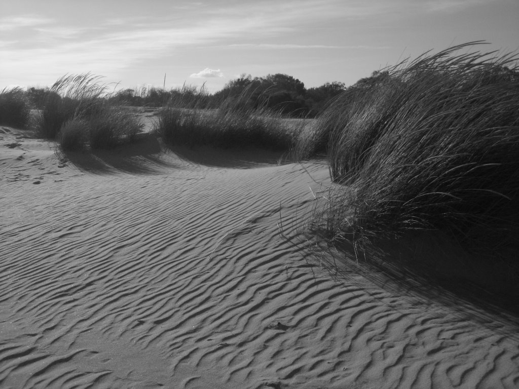 Islantilla by PhotoGSuS