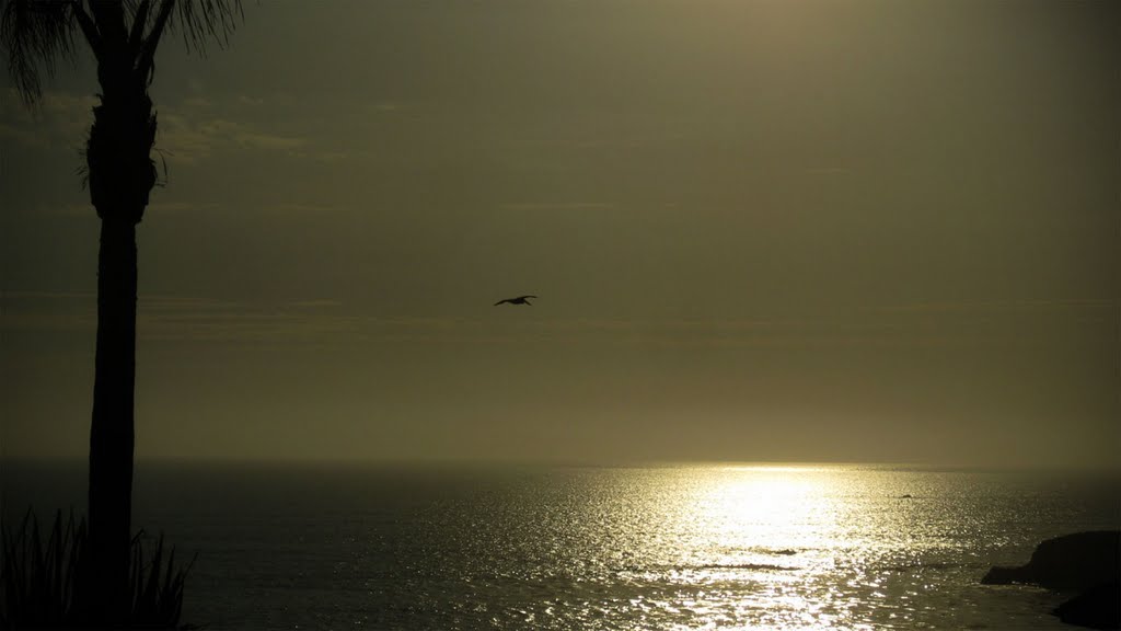 PISMO BEACH by kemplo