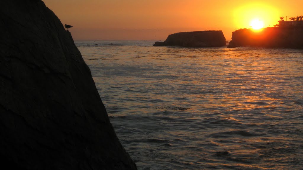 PISMO BEACH by kemplo