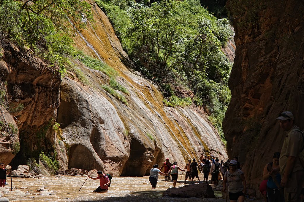 Zion Canyon, the Narrows by Jacenty