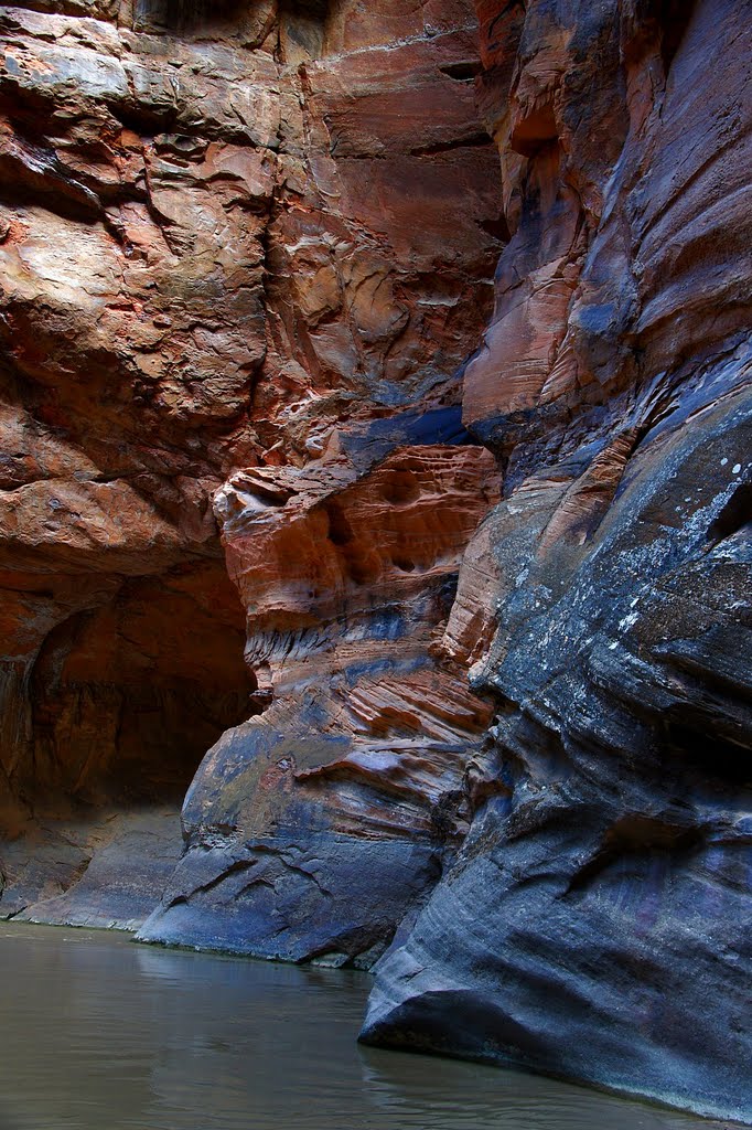 Zion Canyon, the Narrows by Jacenty