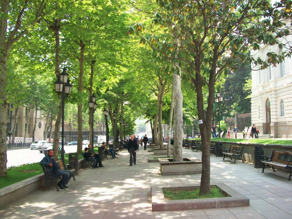 Rustaveli street,Tbilisi by Pogromca Gašnič