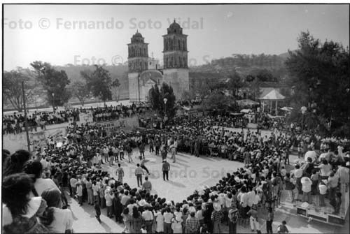 Pelea de tigres en Zitlala by Fernando Soto