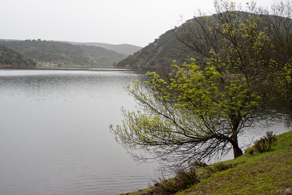 Primavera en Monfragüe by Vicky GP