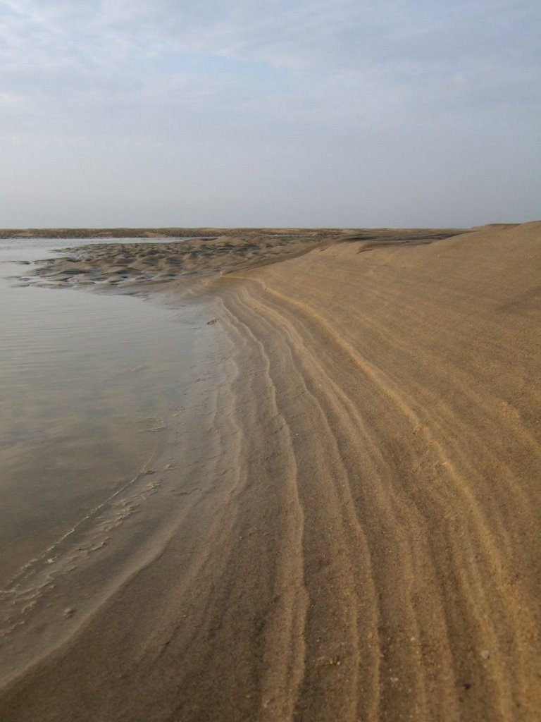 Sand on the Hourdel beach by Aurelien Bisson