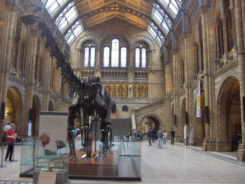 Museo de Historia Natural. by Jose Antonio Cuenca …