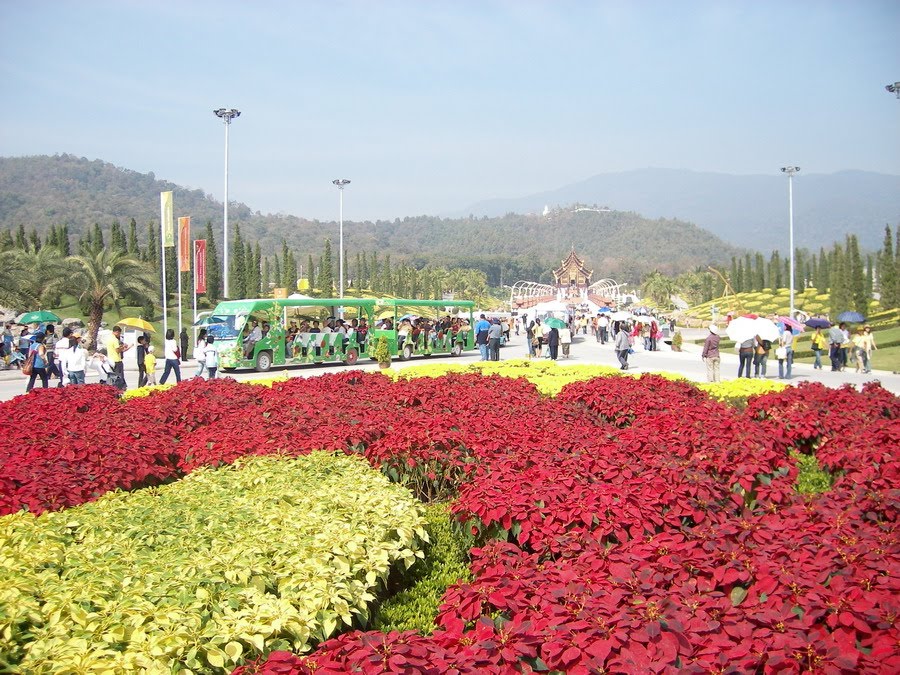 Royal Flora Ratchapruek , Chiengmai ,Thailand : สวนราชพฤกษ์ พืชสวนโลก เชียงใหม่ by Nudsikan Kaewjai