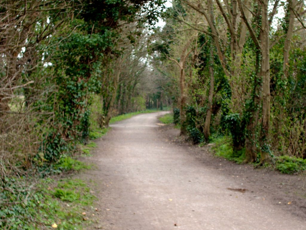 Cosmeston Country Park by Juliet Cullen