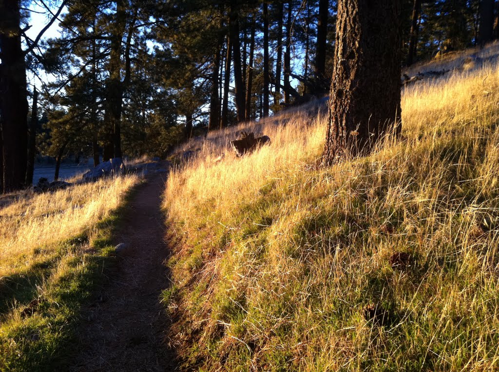 Golden hr on the laguna trail by EPICJURNEEZ