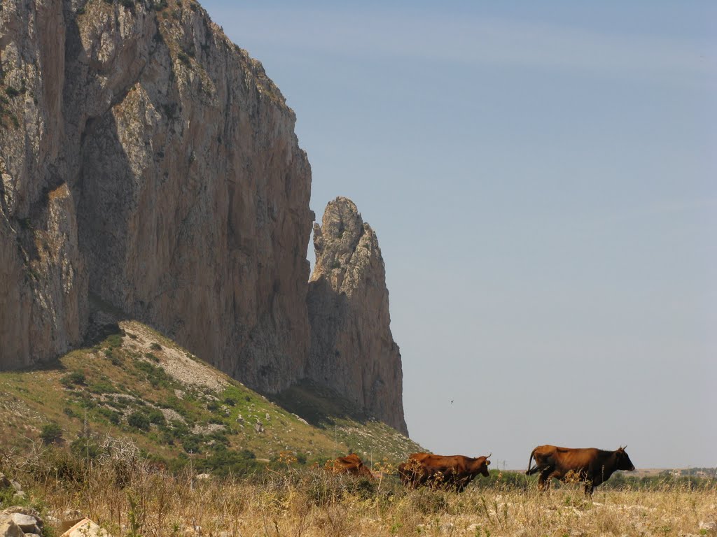 Cozzo Monaco a San Vito Lo Capo by paolo mollica