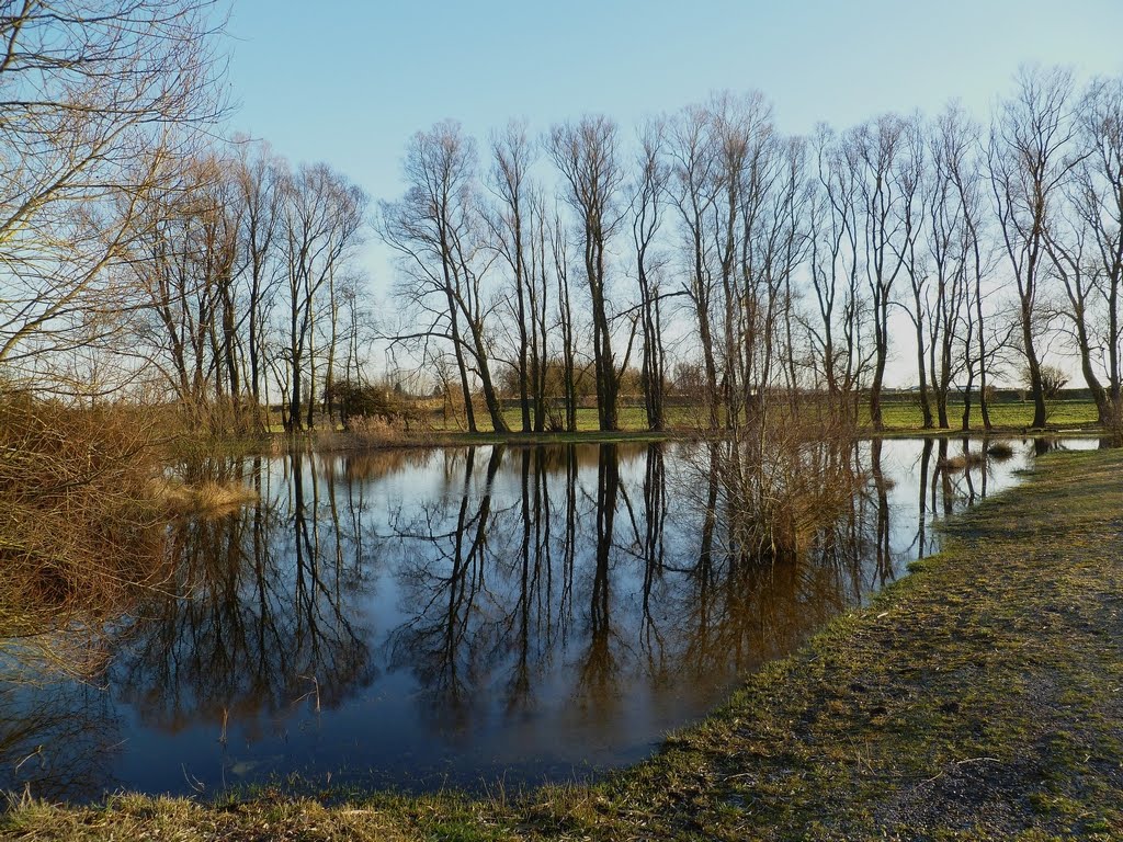 Marais by gontrandbayard@sfr.fr