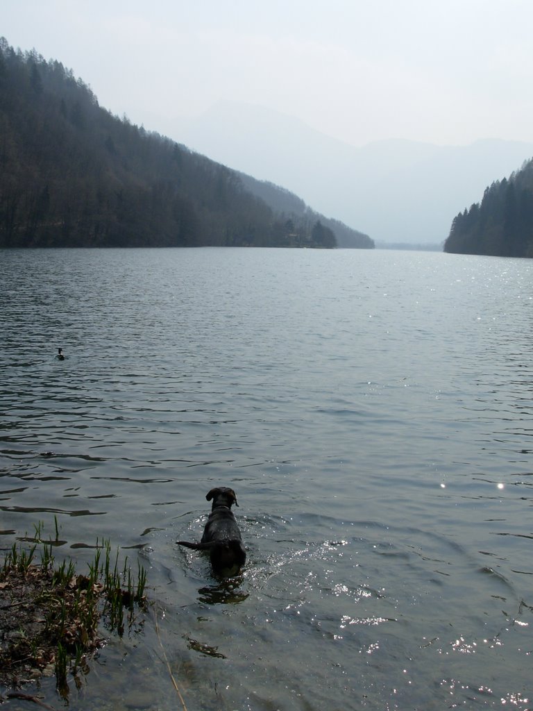 The lake of Levico by tsu-mina