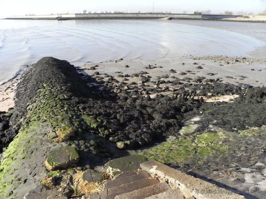 Canvey island sea wall :->South river thames by donliddard