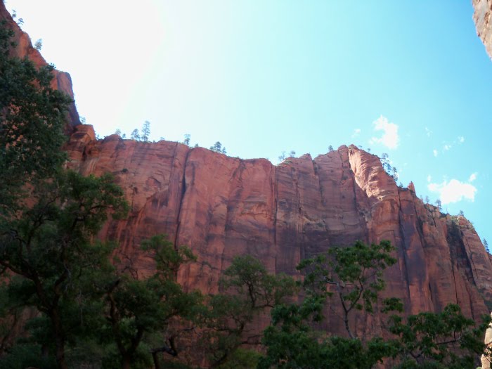 Red Cliffs On Zion by briantravelman