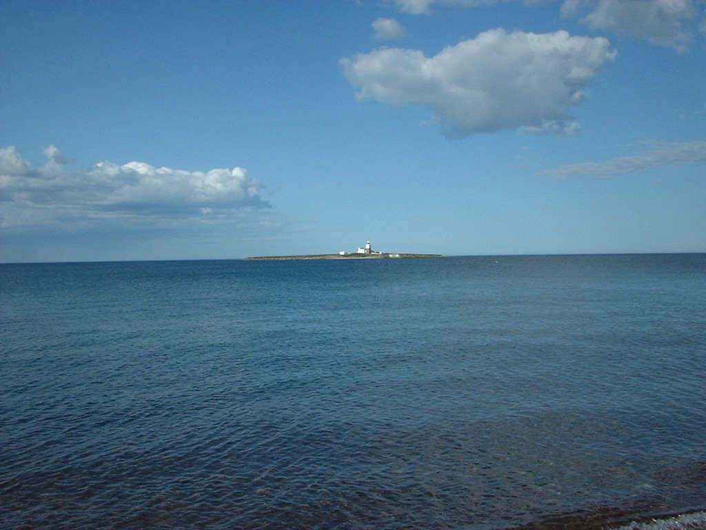 Coquet Island off Amble Northumberland by steve hattan