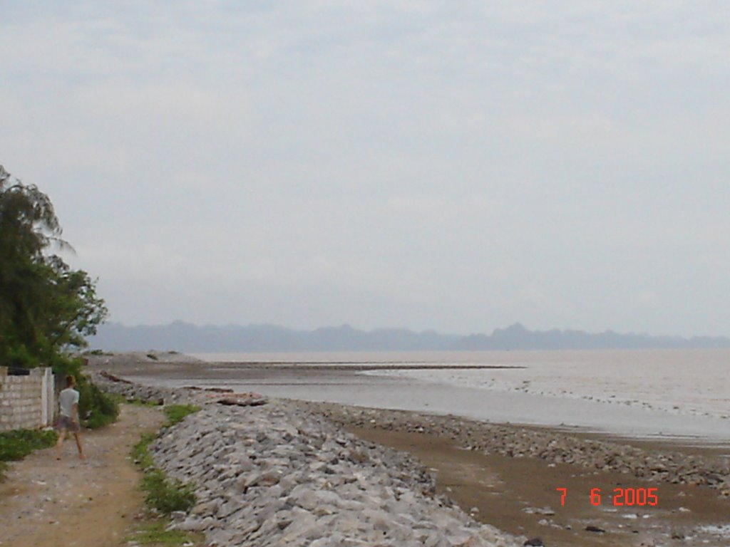 Hoang Chau Dyke by Che Trung Hieu