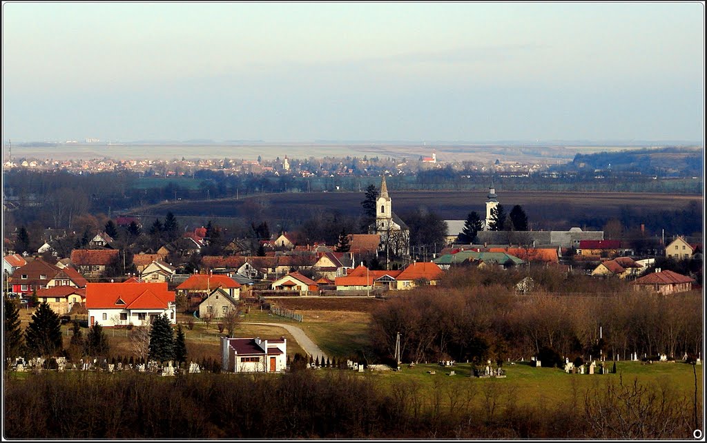 „Ezt a földet választottam,” ... (I selected this land.) by Osváth Károly