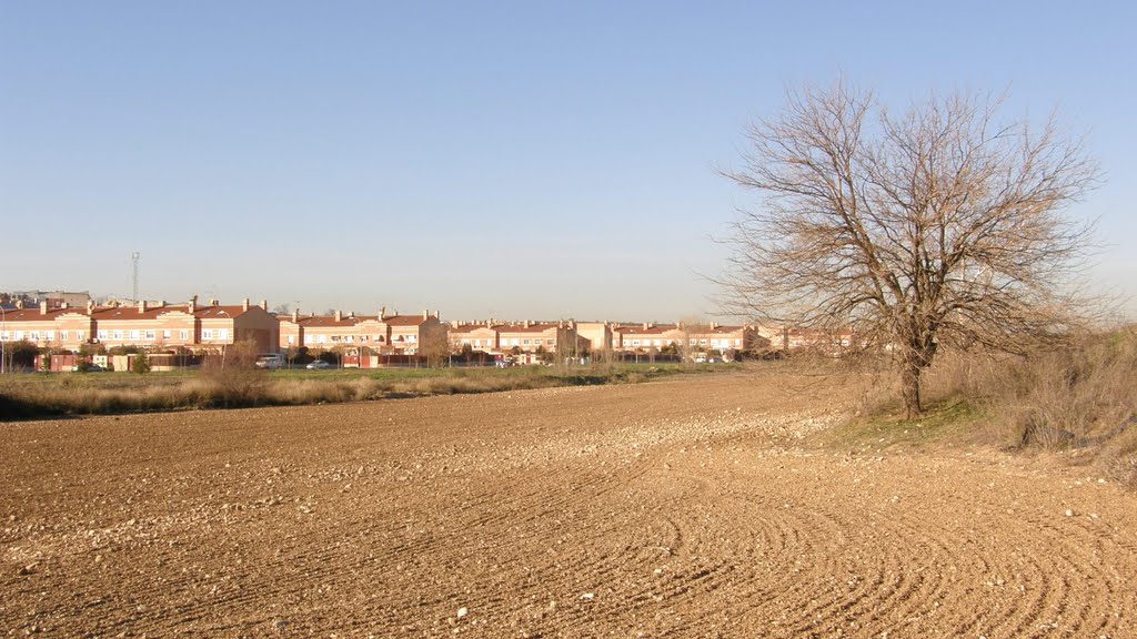 Campos de Meco junto al Arroyo de las monjas. Alcalde, no lo toques, solo limpia la mierda que tiran los vecinos ... by EventusBonus