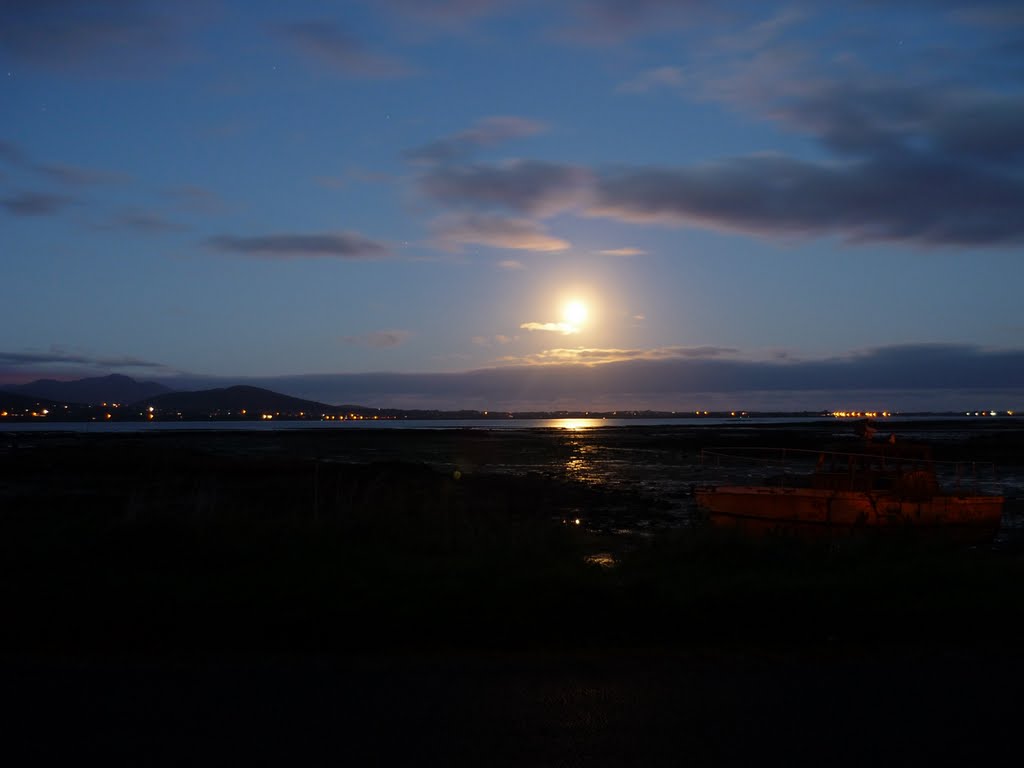 Moonlight over Carlingford Lough by Colm O'Laoi