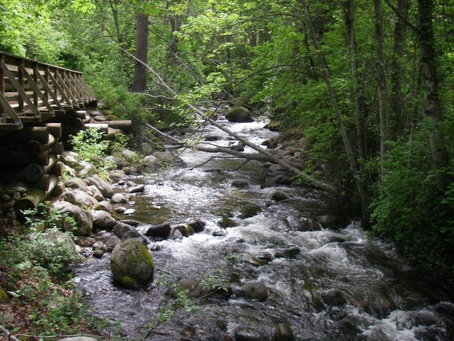 Lithia Creek by kallahar