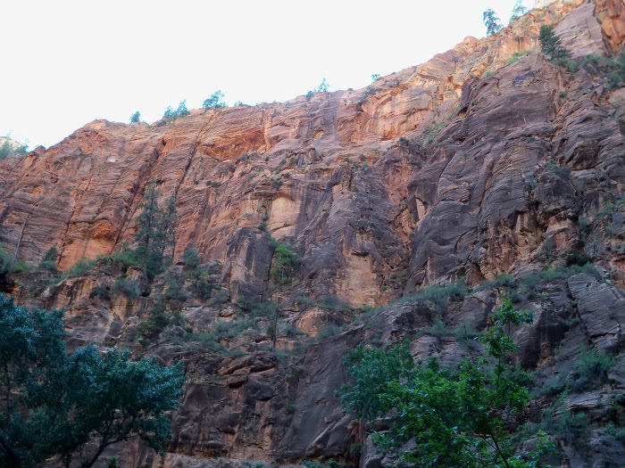 Cliffs Of Zion by briantravelman