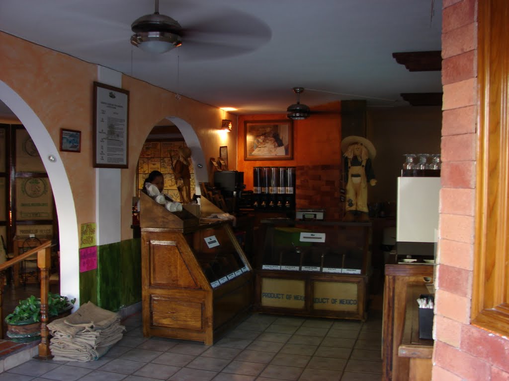 Ajijic, Lake Chapala, Jalisco, Mx. , Coffee Shop by Peter H Orlick